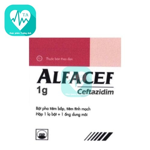 Alfacef 1g Pymepharco - Thuốc điều trị nhiễm khuẩn nặng