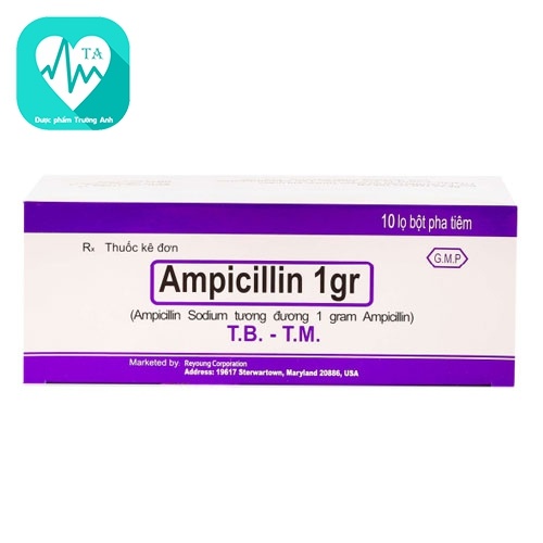 Ampicillin 1gr Mỹ - Thuốc điều trị nhiễm khuẩn hiệu quả