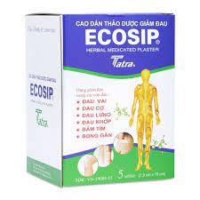 Cao dán Ecosip thảo dược - Giúp giảm đau tại chỗ hiệu quả của Taiwan