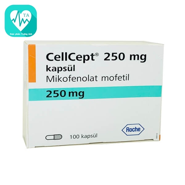 Cellcept 250mg - Thuốc điều trị thải ghép thận lần đầu của Italy