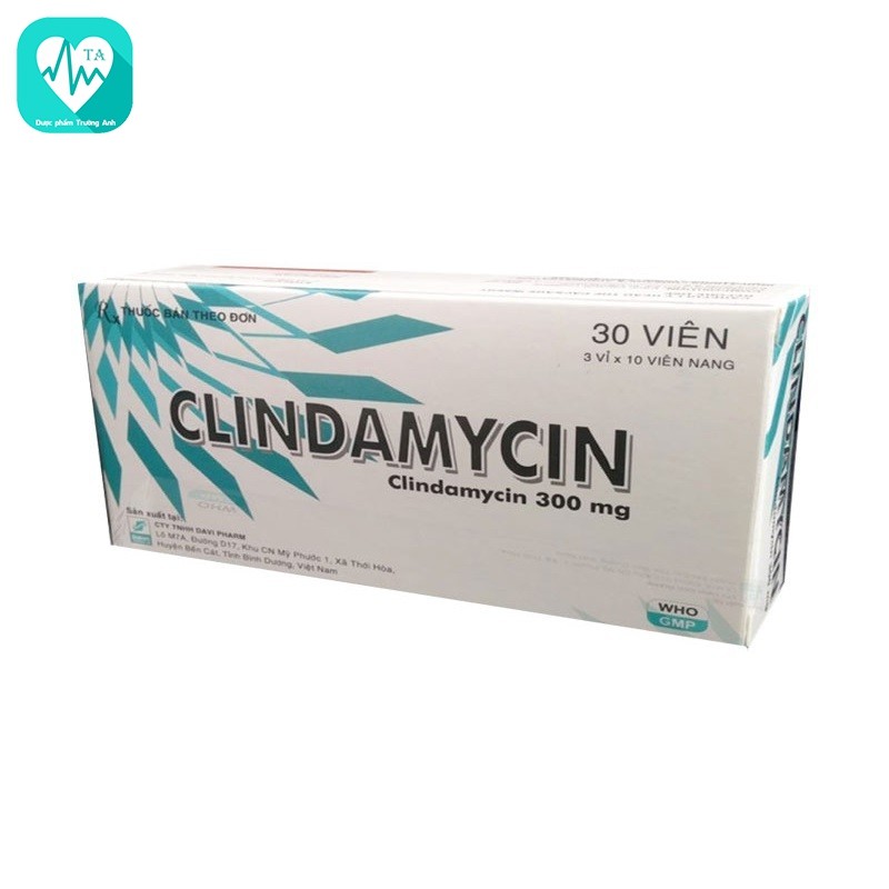 Clindamycin 300mg Davipharm - Thuốc điều trị nhiễm khuẩn hiệu quả