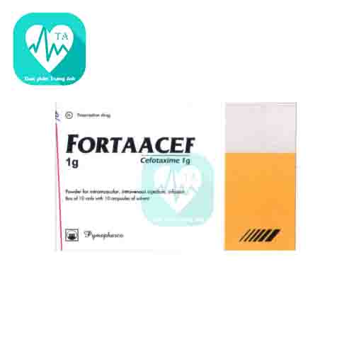 Fortaacef 1g Pymepharco - Thuốc điều trị nhiễm khuẩn nặng 
