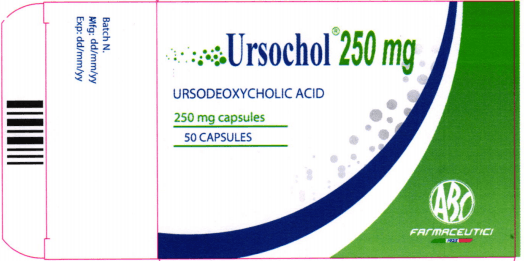 Ursochol 250mg - Thuốc điều trị sỏi mật hiệu quả của Italy