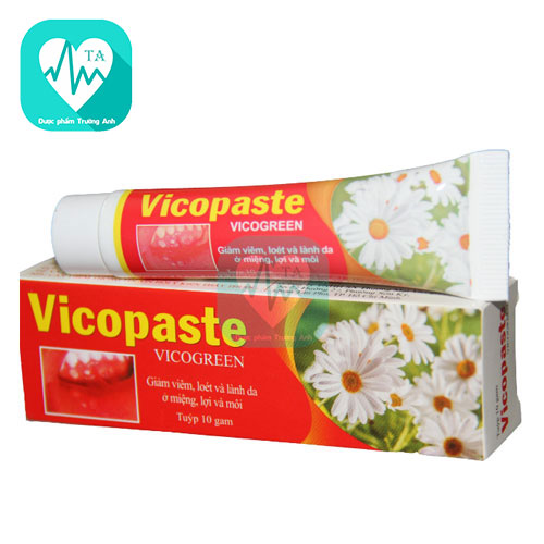 Vicopaste 10g - Giảm nhiệt miệng, viêm nhiễm khoang miệng